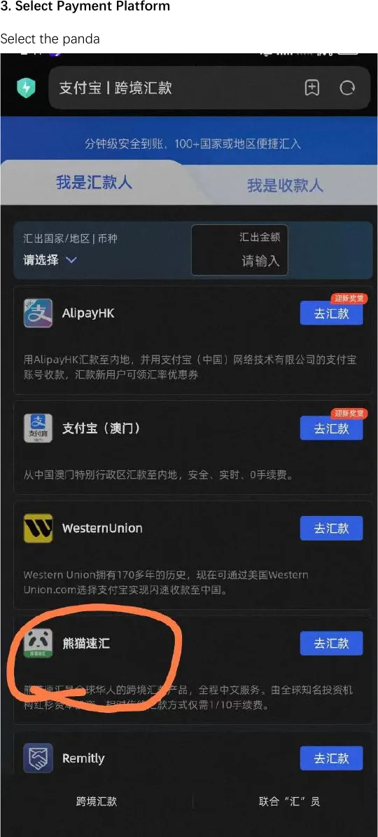Choose Panda Remit screen in Panda Remit